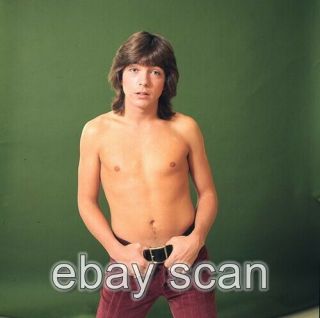 David Cassidy The Partridge Family Shirtless 8x10 Photo 200