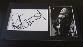 Rod Stewart Autograph A Very Large 9 " Vintage Signature