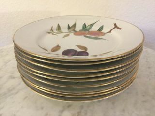 Royal Worcester Fine Porcelain " Evesham Gold " 9 Dinner Plates.  England.  Disc.