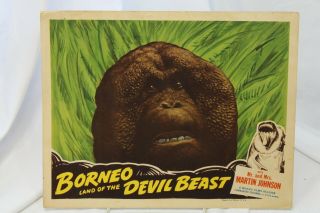 Borneo Land Of The Devil Beast Movie Lobby Card 11 " X 14 "