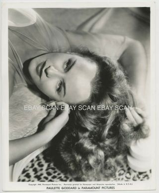 Paulette Goddard Vintage Portrait Photo By Schafer