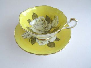 Paragon Wide Yellow Tea Cup & Saucer Large White Cabbage Rose Double Warrant