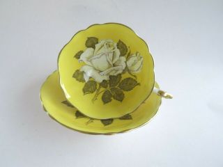 Paragon Wide yellow Tea cup & Saucer Large White Cabbage Rose Double Warrant 2