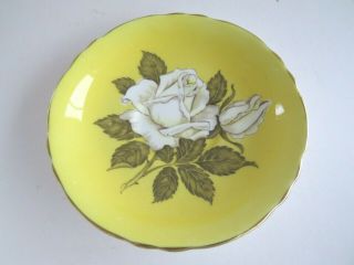 Paragon Wide yellow Tea cup & Saucer Large White Cabbage Rose Double Warrant 3