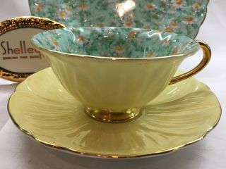 Shelley Marguerite Chintz Footed Oleander Cup,  Saucer & Plate 13693 Gold Trim