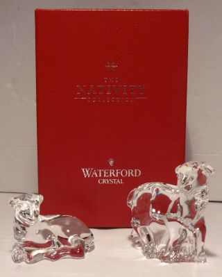 Waterford Nativity 2 Sheep Set / Lambs Ireland