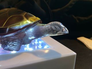 Lalique Crystal Figurine Hawkbill Sea Turtle Caroline Amber Signed