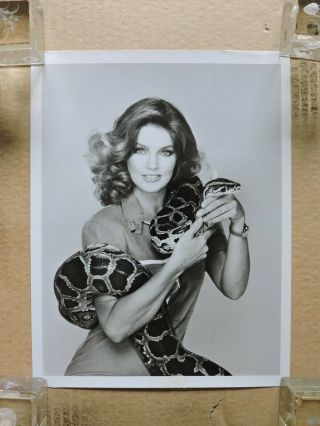 Priscilla Presley With A Python Tv Portrait Photo 1980