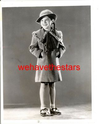 Vintage Virginia Weidler Child Star Fashion 