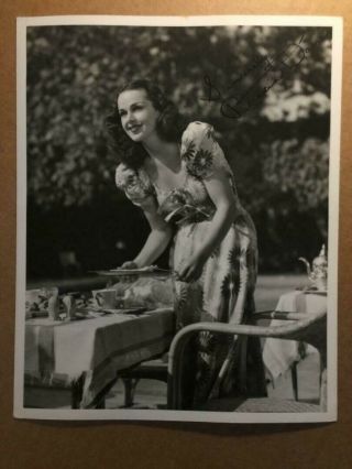 Patricia Dane Very Rare Early Vintage Autographed 8/10 Pin - Up Photo 1944