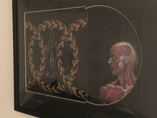 Tool Lateralus Record Signed By Artist Alex Grey - Framed Vinyl Maynard