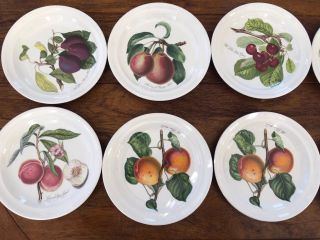 (9) Portmeirion Pomona 8 - 5/8” Salad Plates Pear Plum Cherry Apricot Apple Peach