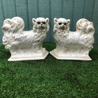 Pair Antique Staffordshire Pekingese Dogs With Glass Eyes C1909