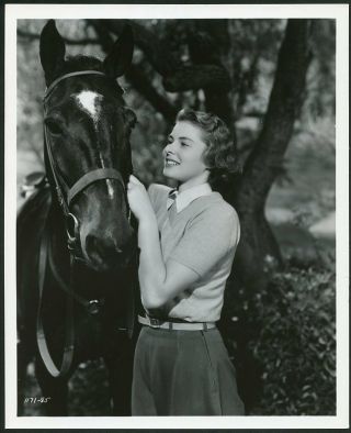 Ingrid Bergman W Horse Vintage 1941 Mgm Portrait Photo