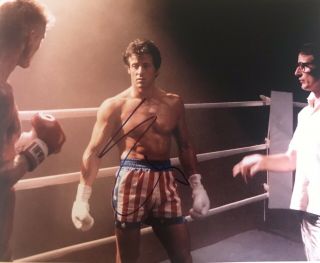 Large Sylvester Stallone Signed - Autographed Rocky Photo 11x14 With