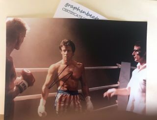 Large Sylvester Stallone Signed - Autographed ROCKY Photo 11x14 with 3
