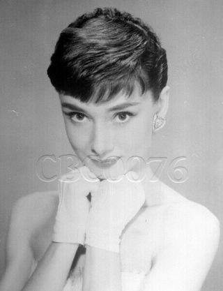Audrey Hepburn 2x3 Transparency Negative 377
