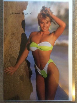 1988 Western Graphics Michelle Eveland No.  204 Poster - 21 " X 32 "