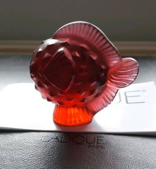 Lalique Red Puffer Fish,  Poisson Lune Rouge 3024600.