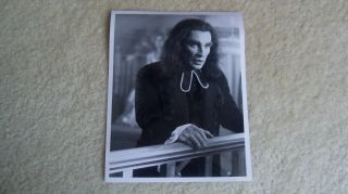 1991 Nbc Dark Shadows Photo Roy Thinnes As Rev Trask Date Stamped On Back