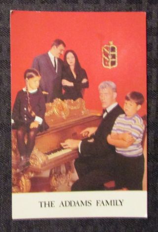 1984 The Addams Family 1964 - 1966 4x6 " Postcard / Charles Addams