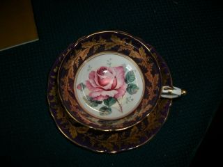 Vintage Paragon Floating Pink Cabbage Rose Flower Purple Gold Tea Cup And Saucer