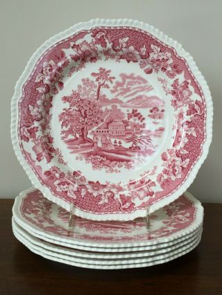 Wood & Sons Seaforth Pink Red Transferware Dinner Plate Set Of 6