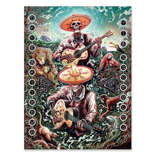 Dave Matthews And Tim Reynolds Poster Riviera Maya Mexico N3 Miles Tsang 2/17/19