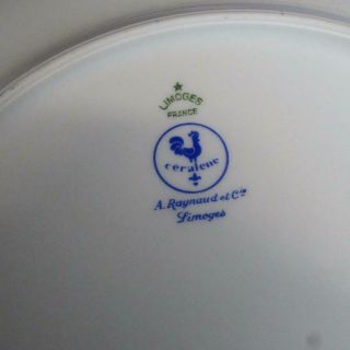 Raynaud Ceralene Limoges France - Mon Jardin Place Settings - Plates/Cup/Saucers 7