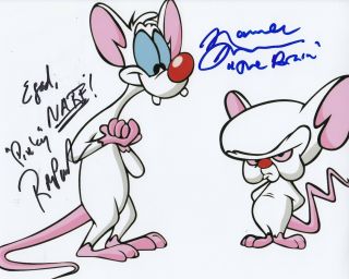 Rob Paulsen & Maurice Lamarche Signed (pinky And The Brain) 8x10 Photo W/coa 3