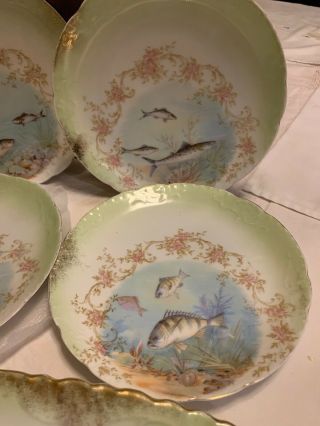 22 1/2”Carlsbad Austria Painted Porcelain Floral & Fish Serving Platter&8 Plates 4