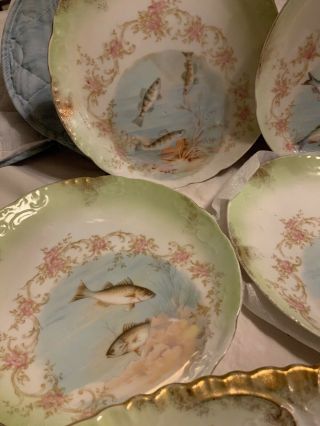 22 1/2”Carlsbad Austria Painted Porcelain Floral & Fish Serving Platter&8 Plates 6