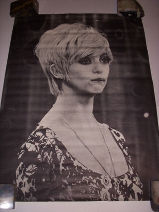Goldie Hawn 1969 Poster Prints,  29.  5 " X 41 ",  Black & White Vintage Poster