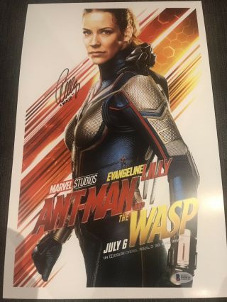 Evangeline Lilly Signed Ant - Man And The Wasp Poster 11x17 Photo Hope Bas Beckett