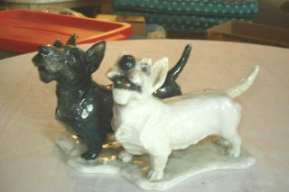 Rare Rosenthal Handgemalt Porcelain Scottish Terriers Figurine