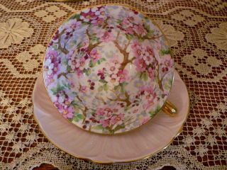 Shelley Maytime Pink Oleander Chintz Cup And Saucer -