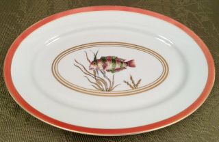 Raynaud Limoges Cristobal Fish 16 - 1/2” Oval Platter By Alberto Pinto Gorgeous