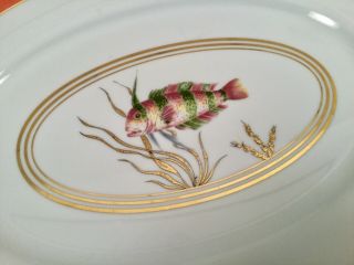 RAYNAUD LIMOGES CRISTOBAL FISH 16 - 1/2” Oval PLATTER BY ALBERTO PINTO Gorgeous 2