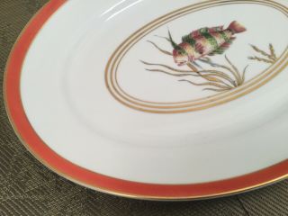 RAYNAUD LIMOGES CRISTOBAL FISH 16 - 1/2” Oval PLATTER BY ALBERTO PINTO Gorgeous 3