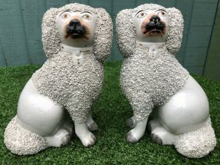 Pair: Mid 19thc Staffordshire Poodle Dogs With Separate Front Legs C1860s