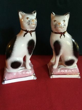 Early Pair 7 " Staffordshire Ware Kent Cats On Pillows
