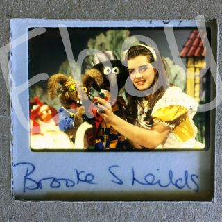 The Muppet Show Brooke Shields 35 Mm Press Transparency Slide
