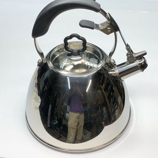 Princess House Stainless Steel Whistling 2.  5qt Large Tea Pot Kettle 6892 Nwob