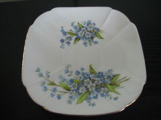 Vintage Shelley Queen Ann Forget Me Not Flower Cup and Saucer 2