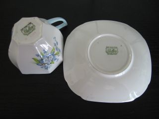 Vintage Shelley Queen Ann Forget Me Not Flower Cup and Saucer 4