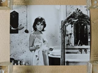Gina Lollobrigida Orig Busty Lingerie Portrait Photo 1968 That Splendid November