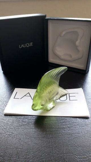 Lalique Fish,  Rare/Unusual Colour,  Anise Special,  Angel Fish.  BNIB Gift Idea 3