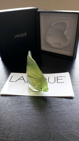 Lalique Fish,  Rare/Unusual Colour,  Anise Special,  Angel Fish.  BNIB Gift Idea 4