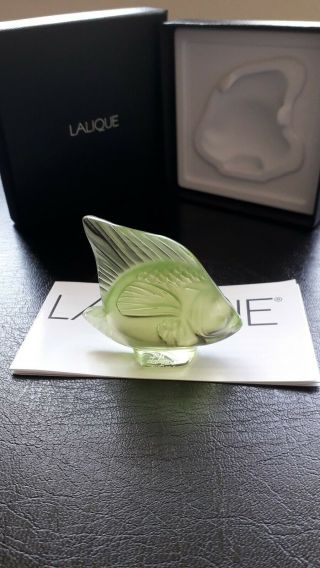 Lalique Fish,  Rare/Unusual Colour,  Anise Special,  Angel Fish.  BNIB Gift Idea 5