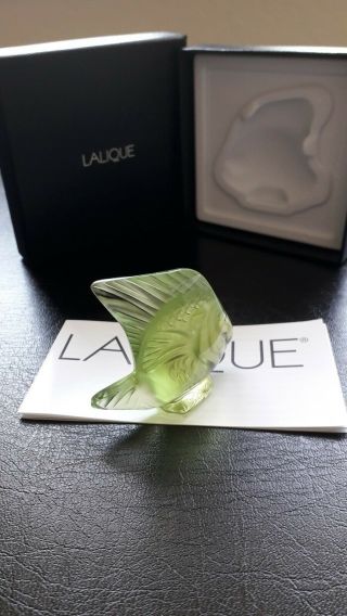 Lalique Fish,  Rare/Unusual Colour,  Anise Special,  Angel Fish.  BNIB Gift Idea 6
